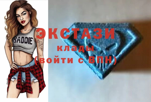 шишки Новодвинск