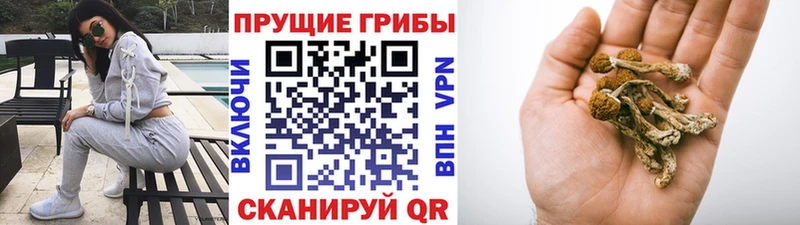 Псилоцибиновые грибы мухоморы  Дюртюли 